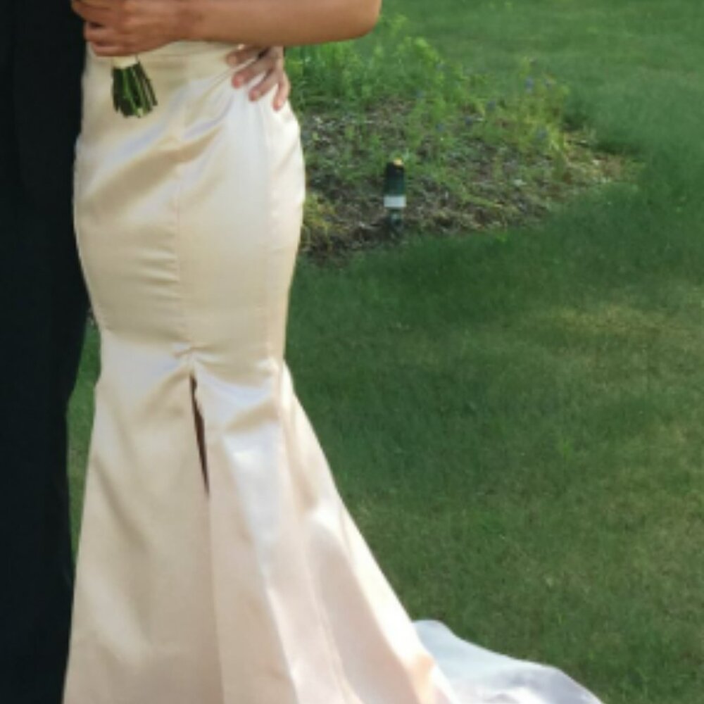 Pink Gown Skirt